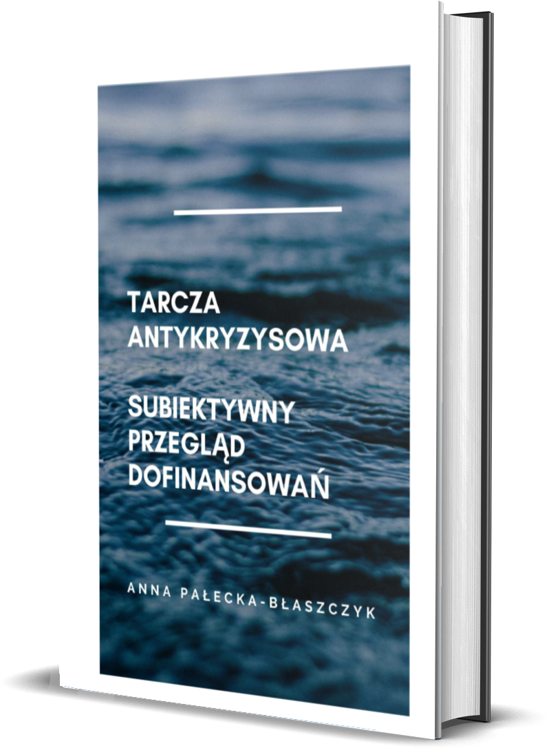 E-book Tarcza antykryzysowa
